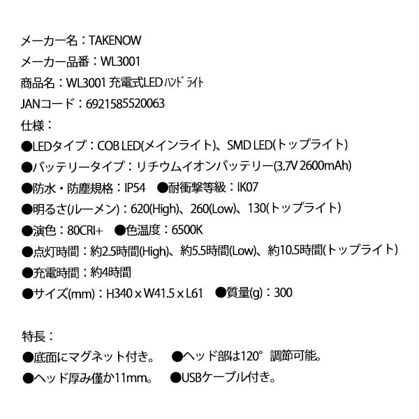 TAKENOW WL3001 充電式LED ハンドライト テイクナウ
