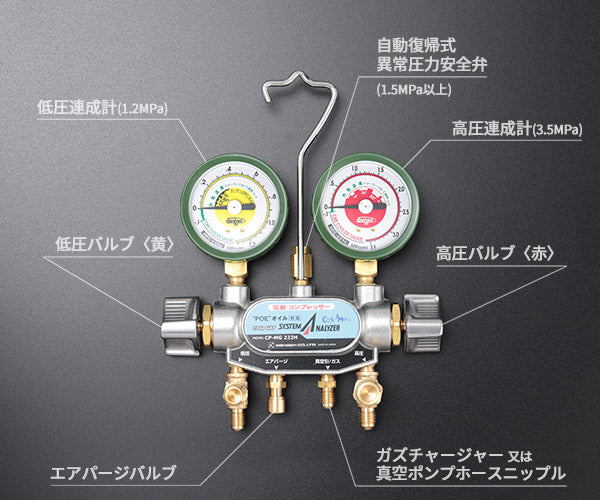 デンゲン 134aガスチャージセット 2バルブ方式 簡易型 POEオイル車専用 ハイブリッドEV車用 10点セット (CP-2VS-FKH) (4562396134951) DENGEN