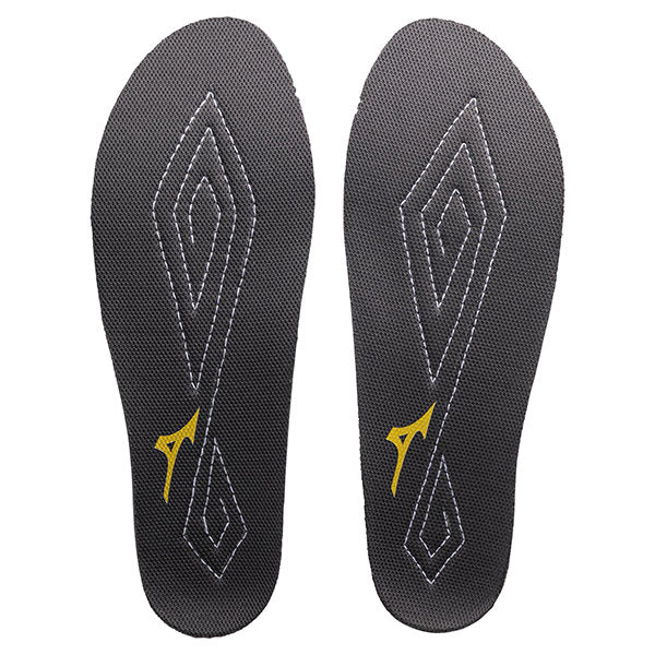 ミズノ 静電気帯電防止用インソール F1GU220105 MIZUNO インソール グレー 中敷き