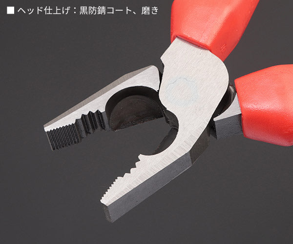 【10月の特価品】日本正規品 クニペックス 強力型ペンチ (SB) (0202-200SB)(4003773010531) KNIPEX