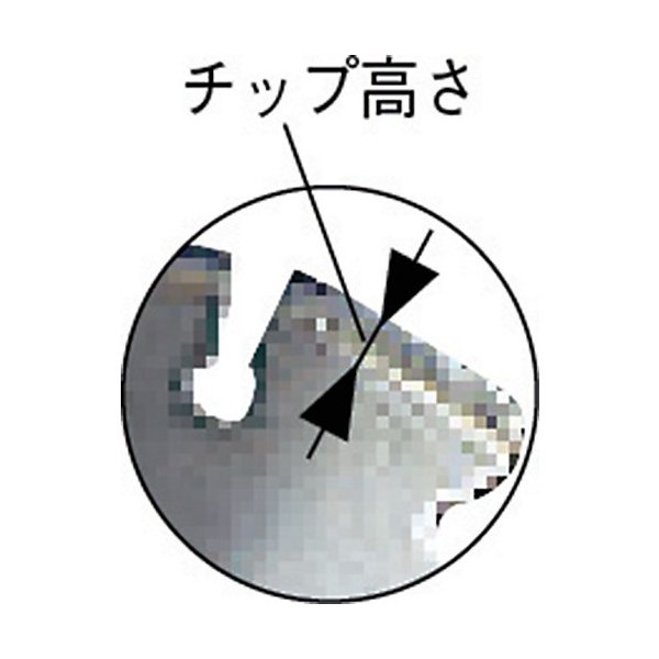 ロブスターのダイヤモンドカッターの画像2