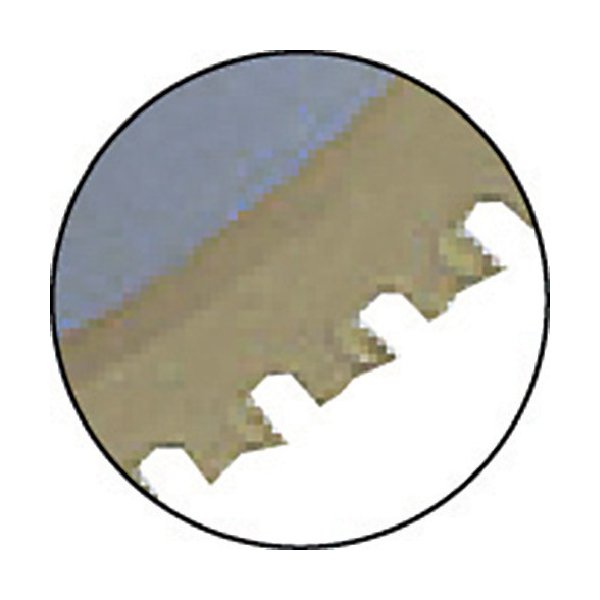 ロブスターのステンカットの画像2