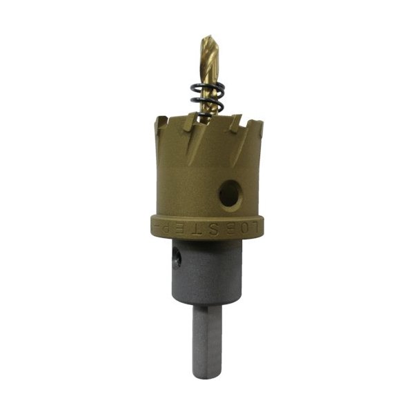 ロブテックス HO100G 超硬ホルソー 100mm エビ LOBSTER ロブスター エビ印工具 LOBTEX