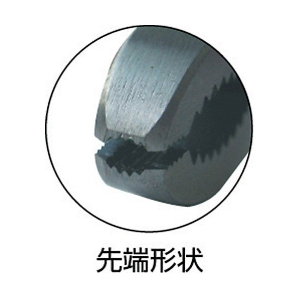 ロブスターのネジアンギラスの画像2