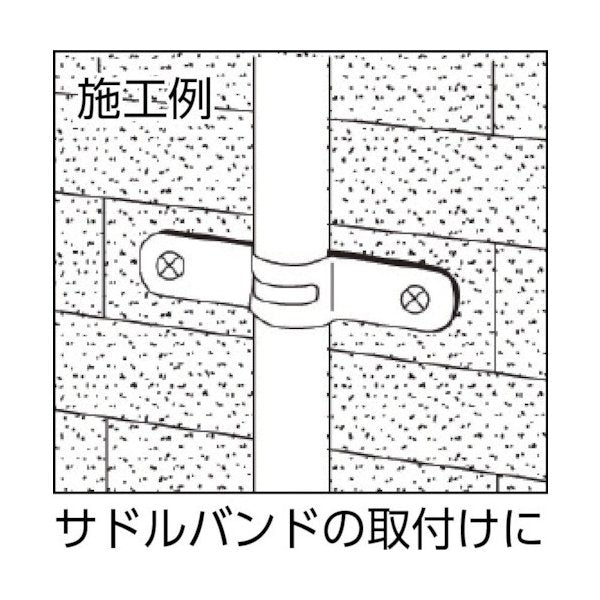 ロブスターのプラグレスビスの画像2