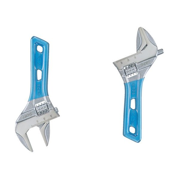 ロブスターの青いポケットモンキーの画像1