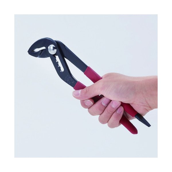 ロブスターのネジアンギラスの画像2