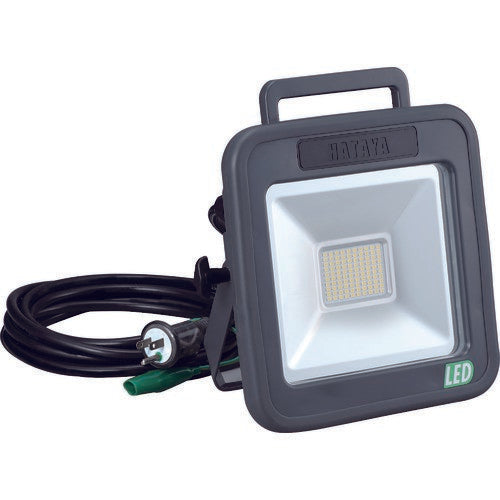 HATAYA(ハタヤ) 白色LED 30W