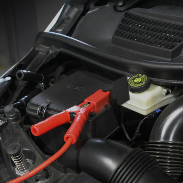 Schmacher 12V/24V 兼用ジャンプスターター PRO12/24 (LI-FE12-24) シューマッハー