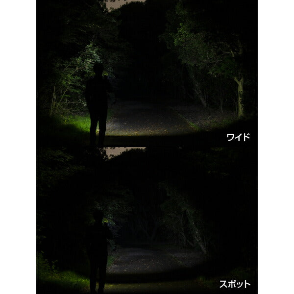 GENTOS 充電式 LEDハンディライト レクシード RX-304R ジェントス LED ペンライト 明るい 防災 充電式 作業灯