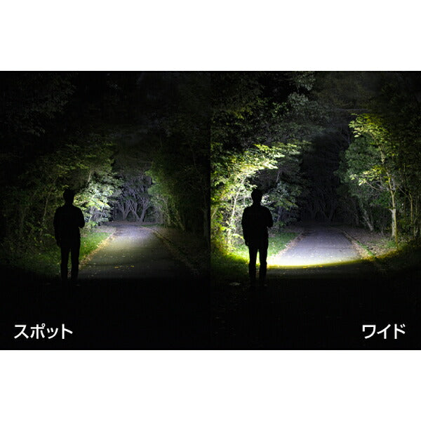 GENTOS 充電式LEDハンディライト レクシード RX-386R ジェントス LED 明るい 防災 懐中電灯 充電式 作業灯