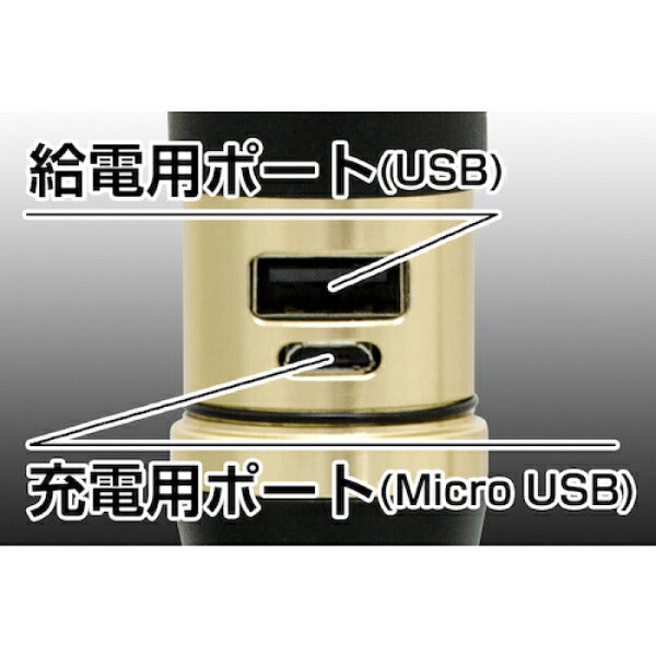 GENTOS 充電式LEDハンディライト レクシード RX-486PB ジェントス LED 明るい 防災 懐中電灯 充電式 作業灯