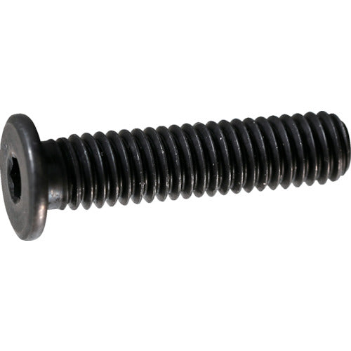 TRUSCO 超低頭スチ-ルキャップボルト M5×8 10本入 Y1530508 トラスコ