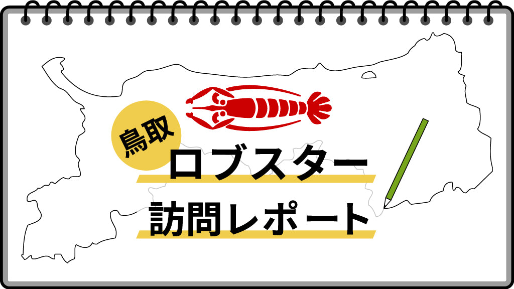 鳥取ロブスター 訪問レポート