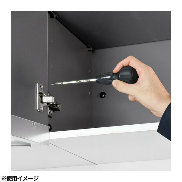 アネックス 差替式ダイヤモンドドライバー 差替式 (3775-D1)(4962485241025) ANEX
