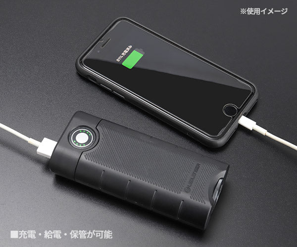 LEDLENSER Powerbank Fle×10 502127 レッドレンザー