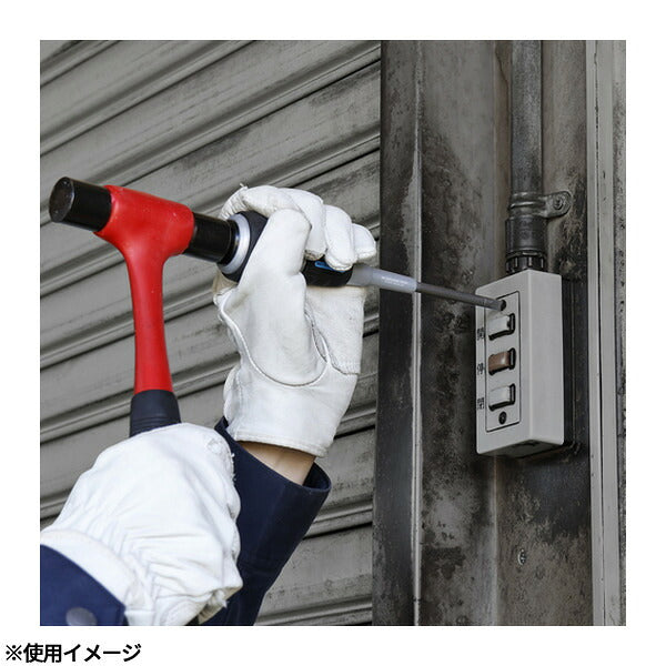 アネックス ビスブレーカードライバー ワニドラ電工 -6×100 固着ネジ 叩ける (7765-6-100)(4962485243845) ANEX