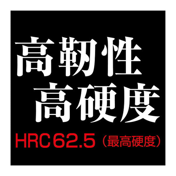 アネックス ダイヤモンド龍靭ビット 1本組 タフ +2×85 ダイヤモンド トーション (ADR-2085)(4962485405229) ANEX
