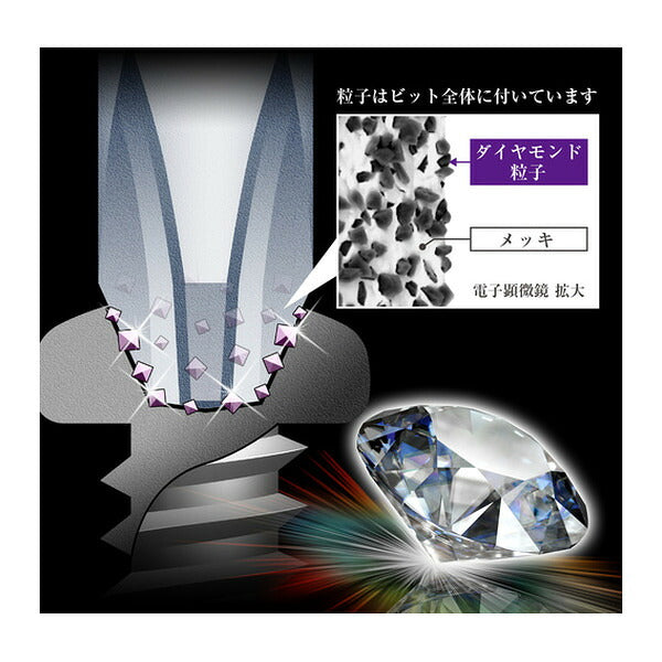 アネックス ダイヤモンド龍靭ビット 1本組 タフ +2×110 ダイヤモンド トーション (ADR-2110)(4962485405236) ANEX