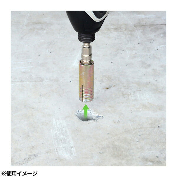 アネックス アンカー抜きビット М12×50mm本体打込式アンカー対応 アンカー抜き (AEB-1250)(4962485401344) ANEX