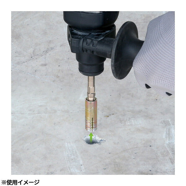 アネックス アンカー抜きビット SDSプラス ハンマードリル用 М12×50mm本体打込式アンカー対応 アンカー抜き (AEB-1250SDS)(4962485401368) ANEX