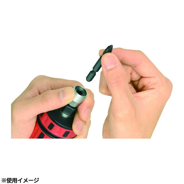 アネックス 差替式シャンクビット2本組 片頭+2×53 差替式 交換用 (AKL-P2053)(4962485366155) ANEX