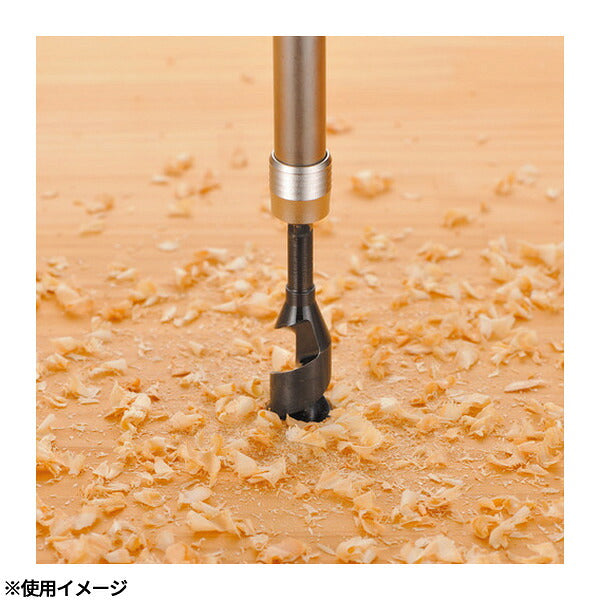アネックス ビット用アタッチメント 強靭ロングビットホルダー 1/4 100mm ビット延長 (ALHP-100)(4962485278564) ANEX