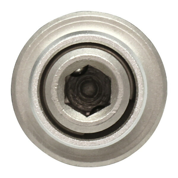 アネックス オフセットアダプター用ビットアダプター 狭所 隅打ち (AOA-19BA)(4962485273989) ANEX