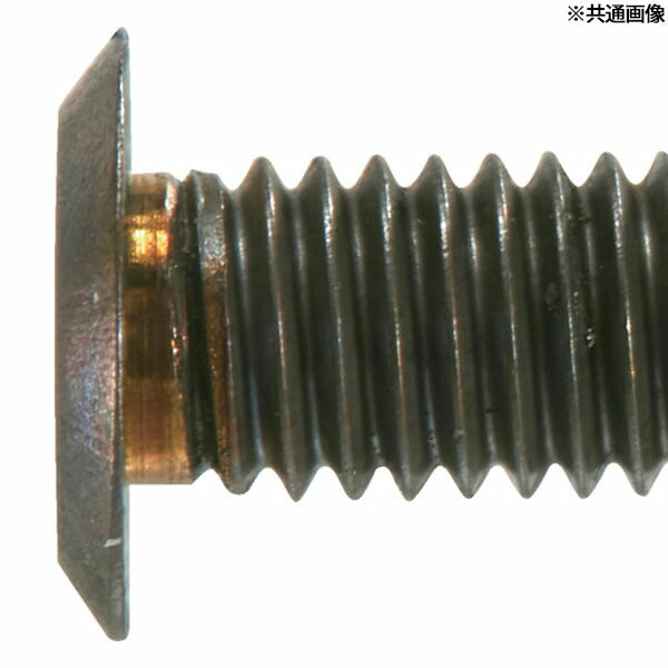 TRUSCO B186-0312 ヘックスローブ超極低頭ねじ ステンレス ブロンズ Ｍ３×１２ １０本入(4550414091928) トラスコ中山
