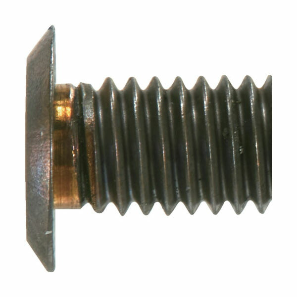 TRUSCO B186-0410 ヘックスローブ超極低頭ねじ ステンレス ブロンズ Ｍ４×１０ １０本入(4550414091966) トラスコ中山