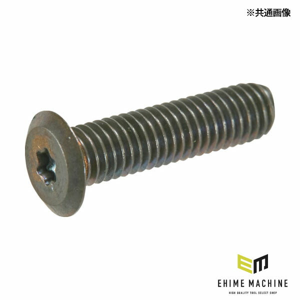 TRUSCO B186-0516 ヘックスローブ超極低頭ねじ ステンレス ブロンズ Ｍ５×１６ １０本入(4550414092048) トラスコ中山