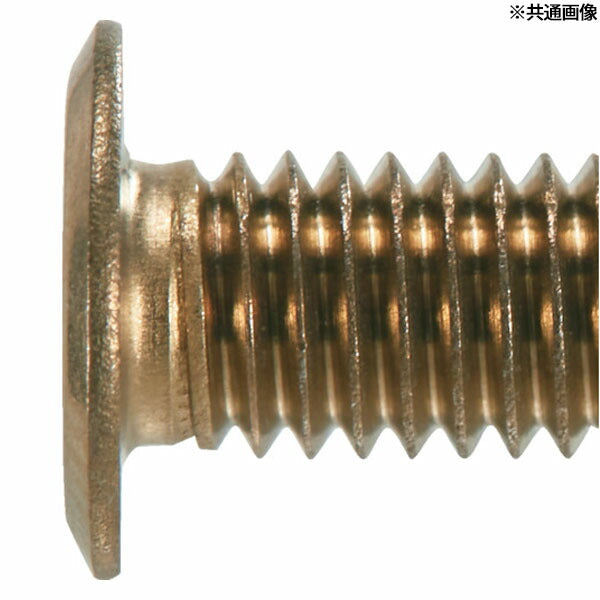 TRUSCO B187-0410 ヘックスローブ超極低頭ねじ ステンレス ライトブロンズ Ｍ４×１０ １０本入(4550414092376) トラスコ中山