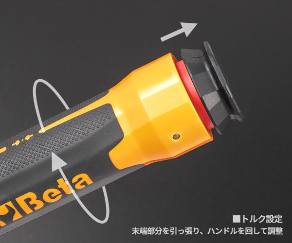 日本正規品 ベータ ZERO-RESET トルクレンチ 3/8 20-100Nm (666/10)(8054809362151) Beta