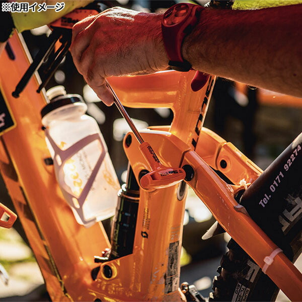 日本正規品 ベータ T型ハンドルトルクスレンチ T10 (97TTX 10)(8014230050157) Beta