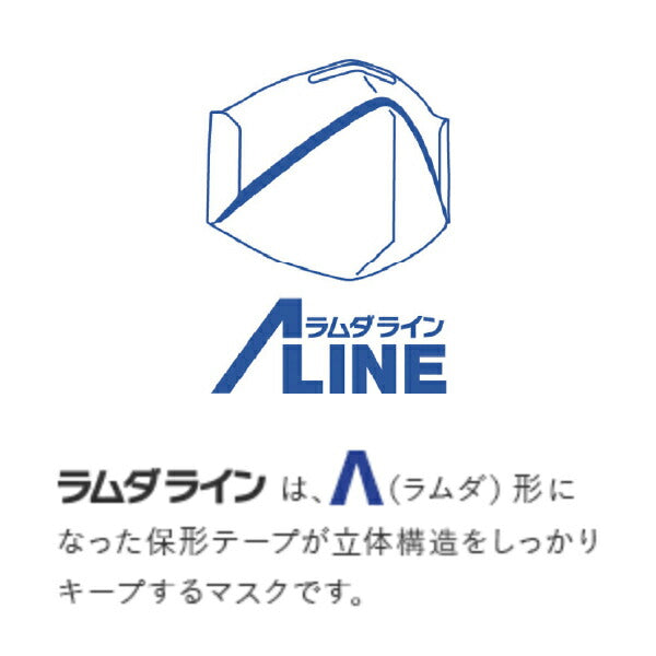 シゲマツ N95マスク 二つ折 [10個入] DD02-N95-2K 立体構造キープ ラムダライン インフルエンザ等の感染症対策 PM2.5 黄砂 花粉 ハウスダスト等