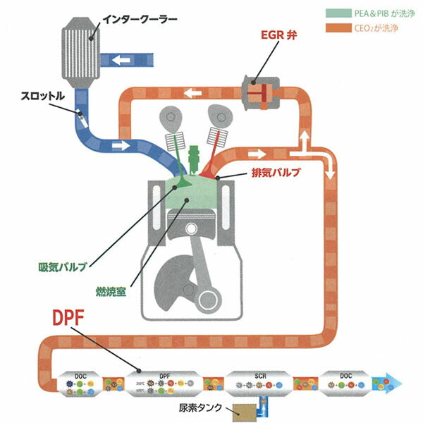 YAZAWA ヤザワ FPx3 フューエルポーション3 ディーゼル車用 300ml 燃料添加剤 DPF洗浄 EGR インジェクター スス燃焼促進 軽油専用 (FP3-D300) (4580219091014)