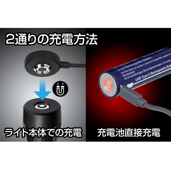 ジェントス LEDハンディライト Gシリーズ GF-216RG 1250ルーメン 無段階調光 USB充電/マグネット充電 5年保証 (4950654053777) GENTOS