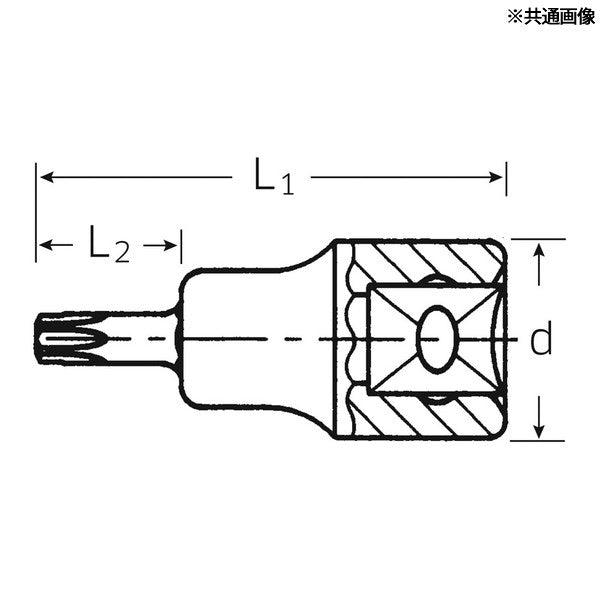 日本正規品 スタビレー 3/8SQ ヘクスローブソケット T40 (49TX-T40)(4018754002870) STAHLWILLE