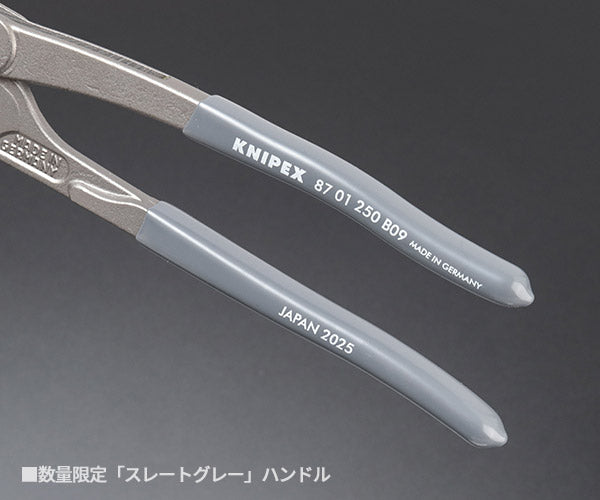 日本正規品 クニペックス コブラ ウォーターポンププライヤー 限定カラー スレートグレー (8701-250B09)(4003773093244) KNIPEX