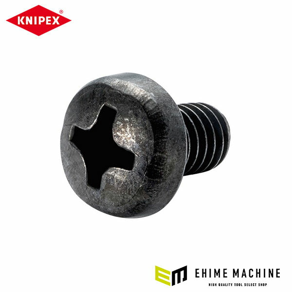 日本正規品 クニペックス 皿ネジ(953x2xx用) (9539-13)(4003773039280) KNIPEX