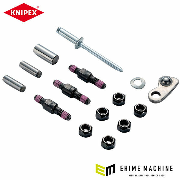 日本正規品 クニペックス スペアネジセット(9532/36-320用) (9539-320-04)(4003773075745) KNIPEX