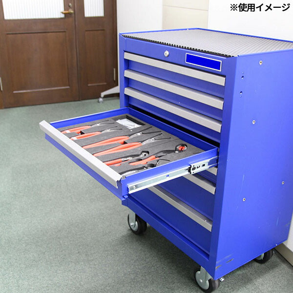 日本正規品  クニペックス ホースクリップ ホースプラッカー コラボセット EVAトレー付 数量限定 (KNITR003)(4545301105925) KNIPEX