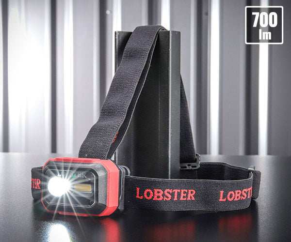 [26AW新商品] ロブテックス LEDヘッドライト 高演色Ra97 最大700lm 4段階調光 タッチレス操作 マグネット・フック付 IP66 USB充電 (LLH1)(4963202022903) LOBSTER エビ