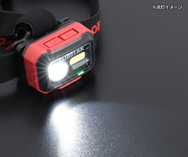 [26AW新商品] ロブテックス LEDヘッドライト 高演色Ra97 最大700lm 4段階調光 タッチレス操作 マグネット・フック付 IP66 USB充電 (LLH1)(4963202022903) LOBSTER エビ
