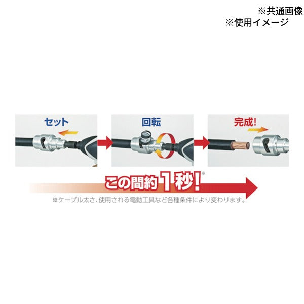 タジマ ムキソケ専用ケース 60・100・150ケース (DK-MS3MCA)(4975364162748) TAJIMA TJMデザイン