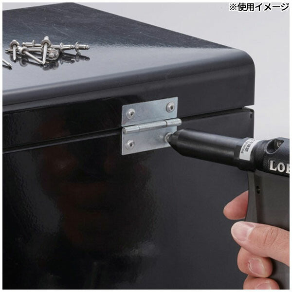 ロブテックス ブラインドリベット アルミ/アルミ 丸頭 3-4 1000本入 NA34A (NA34A)(4963202006361) LOBSTER エビ