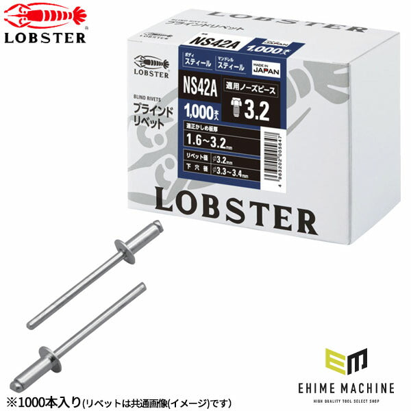 ロブテックス ブラインドリベット スティール/スティール 丸頭 4-2 1000本入 NS42A (NS42A)(4963202005647) LOBSTER エビ