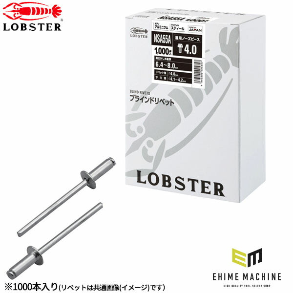 ロブテックス ブラインドリベット アルミ/スティール 丸頭 5-5 1000本入 NSA55A (NSA55A)(4963202005357) LOBSTER エビ