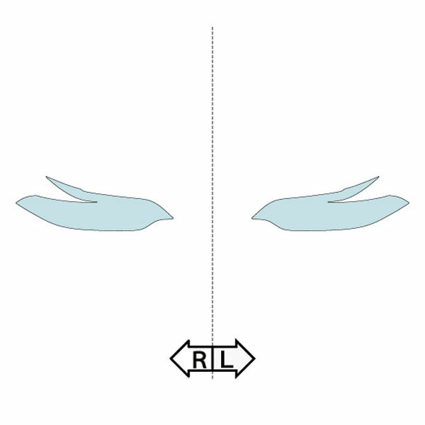 カット済みヘッドライトプロテクションフィルム  BMW M2 クーペ (H28.1-H29.7) (F87(1H30型)) (ベースグレード) (PH3012C1605A0SA)