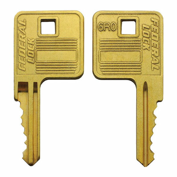 日本正規品 フェデラル ロックアウト用南京錠 ブルー (PL90-B-P)(4545301109190) FEDERAL